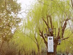 -堤角公园