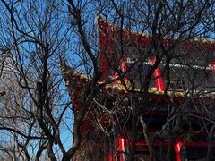 -哈尔滨极乐寺