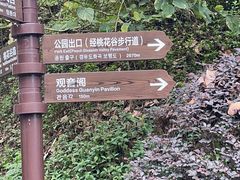 -大屏嶂森林公园