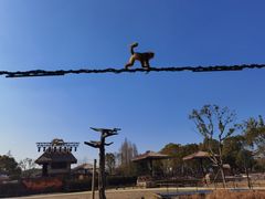 -上海野生动物园