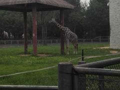 -石家庄市动物园