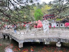 -红螺寺