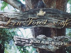 -Fern Forest Cafe