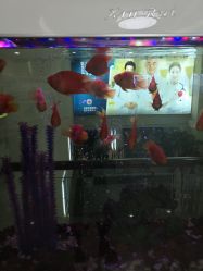 -成都军建医院·疤痕诊疗中心