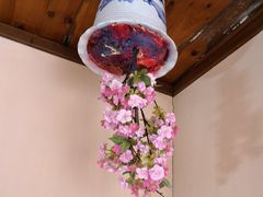-金山农民画村-枫泾波兰倒置屋