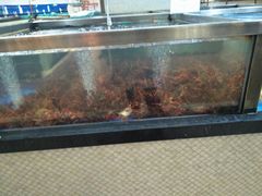 -七鲜超市(万向城店)