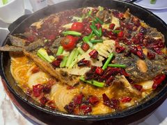 -老板恋上鱼(高新万达店)