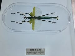 -上海昆虫博物馆