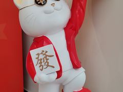 -全心全意动物诊疗中心医院(北苑店)
