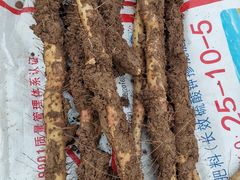 -解家河南菜(商鼎路店)