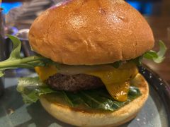 -bluefrog蓝蛙(水游城店)