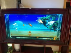 -汤泉良子.足疗按摩.SPA(中关村店)