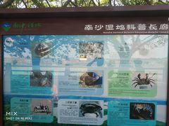 景点-大湾区中央湿地公园