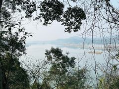 -子昂故里文化旅游区