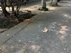 -南山风景名胜区