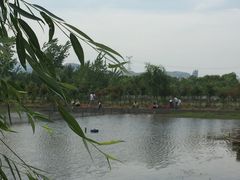 -同銮特种养殖场·龙虾垂钓