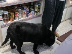 -宠物家(角门东店)