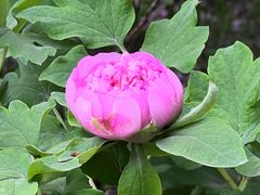 -洛阳市隋唐城遗址植物园