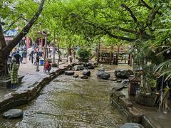 -黄龙溪古镇