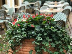 景观位-玫瑰厅上海菜(兴国路店)