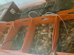 -富力万达嘉华酒店-美食汇西餐厅