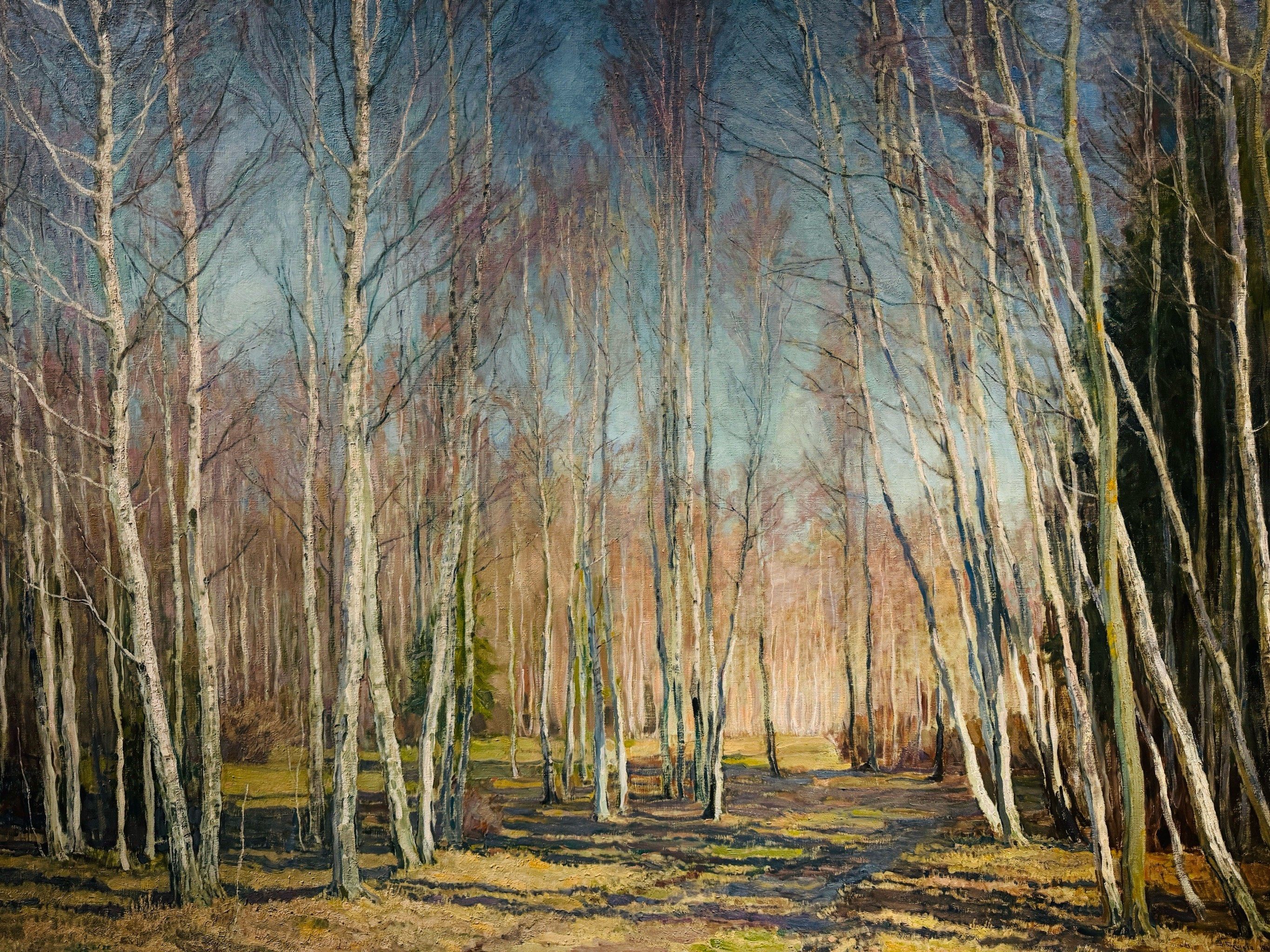 欣赏每一幅画作中光的运用,春日的白桦林