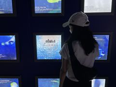 -成都泰迪熊博物馆