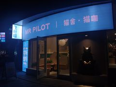 门面-飞行喵MR PILOT|猫舍·猫咖(静安大融城店)