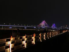 -武汉两江游览·夜游长江(汉口粤汉码头)