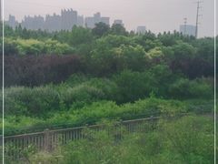 -邯郸东站