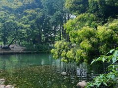 -成都市活水公园