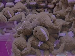 -天虹购物中心(石路店)