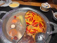 -大龙燚火锅(南山大道店)