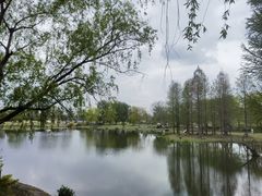 -上海辰山植物园
