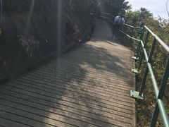 -南丫岛