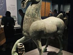 -广西壮族自治区博物馆