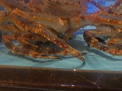 -阿伟海鲜楼·福建菜(延寿店)