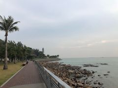 -野狸岛
