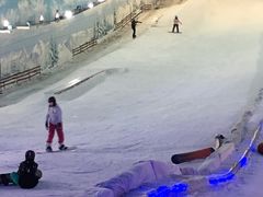 -世界之窗阿尔卑斯冰雪世界