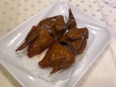 顺风乳鸽-顺风海鲜港(金玉兰店)