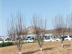 -君乐宝优致牧场