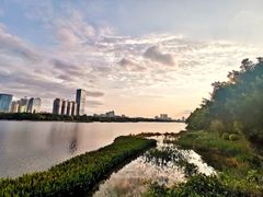 景点-南宁南湖公园