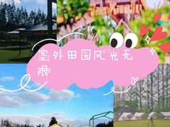 -前小桔亲子创意农场·草莓采摘·露营烧烤