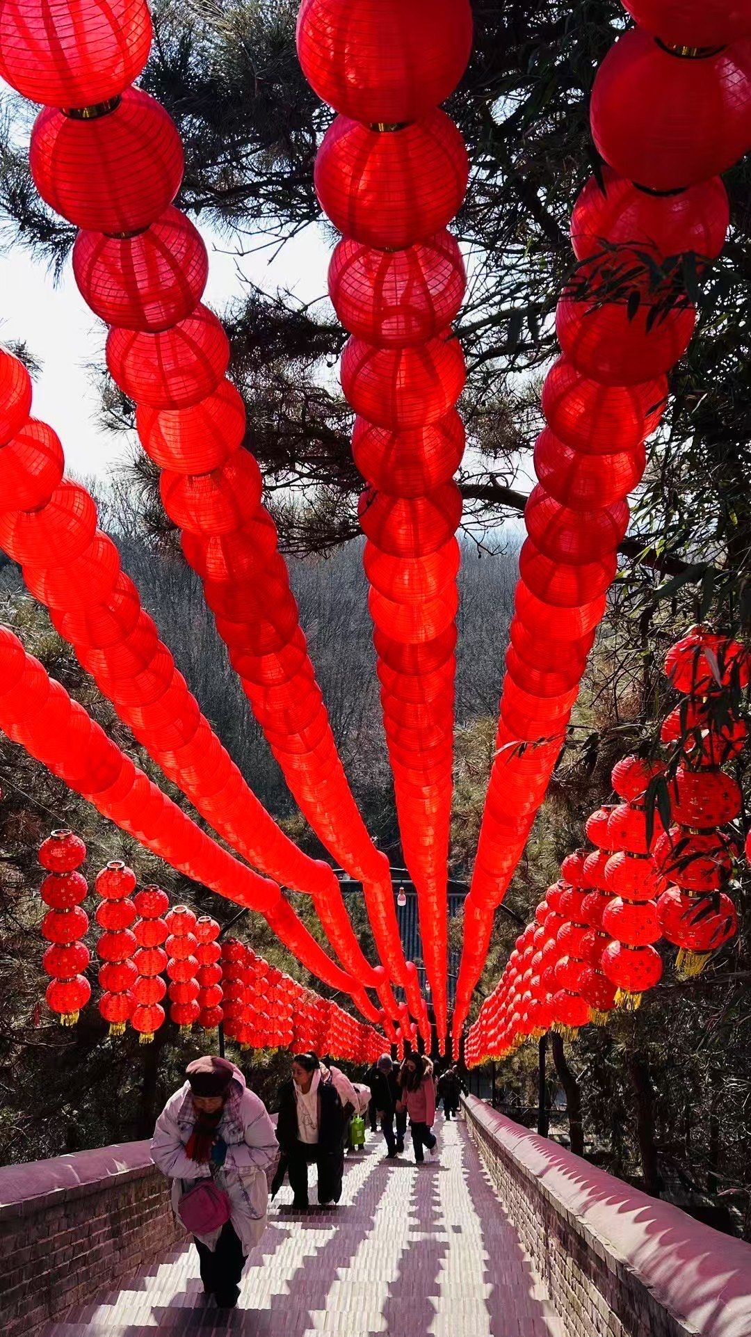 2023红螺寺生肖运势(红螺寺门票免费)