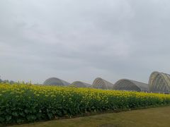 -中国天府农业博览园