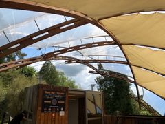 -怀托摩萤火虫洞