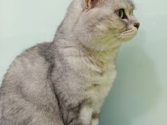 -平行世界·猫咖(首经贸店)