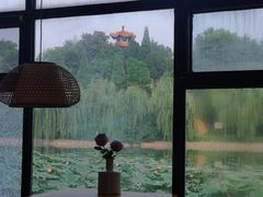 -榴莲咖啡馆