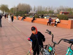 -丁香湖公园