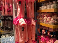 -美国自然历史博物馆